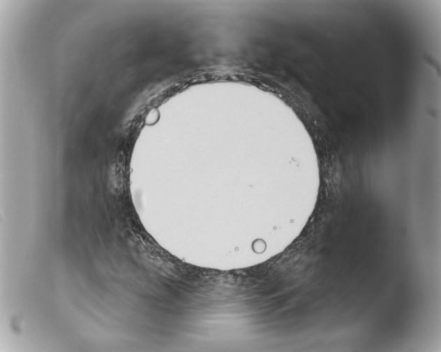 X0000103931207200810171743