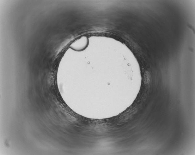 X0000103931208200810171743