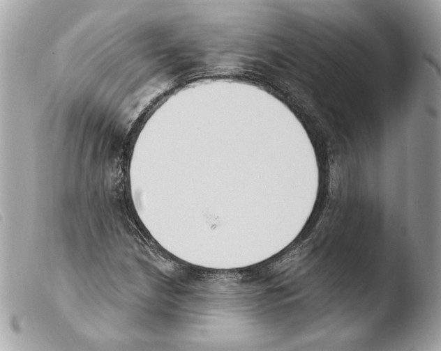 X0000103931210200810171743