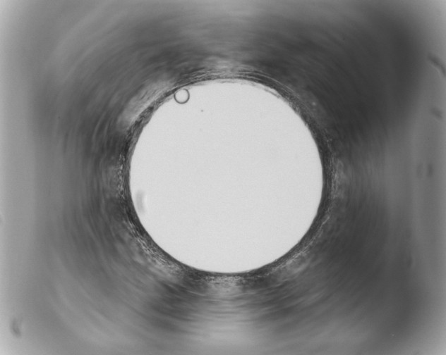 X0000103931211200810171743