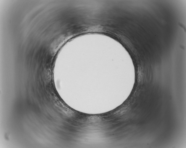 X0000103931212200810171743