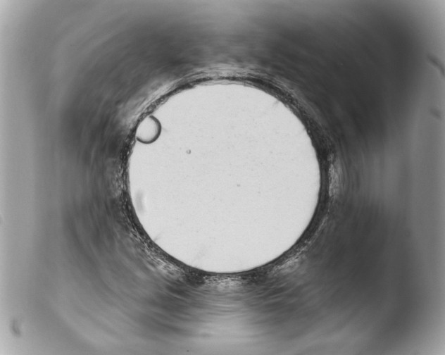 X0000103931213200810171743