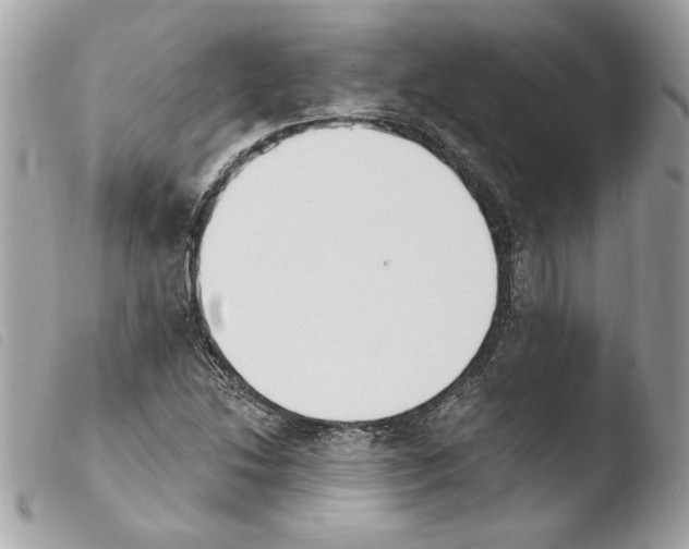 X0000103931214200810171743