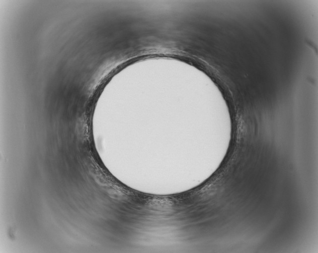 X0000103931215200810171743