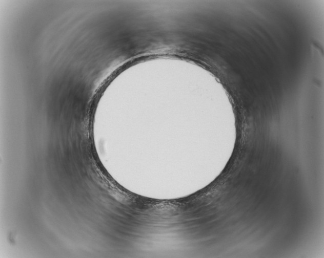 X0000103931216200810171743