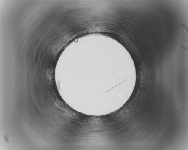 X0000103931217200810171743