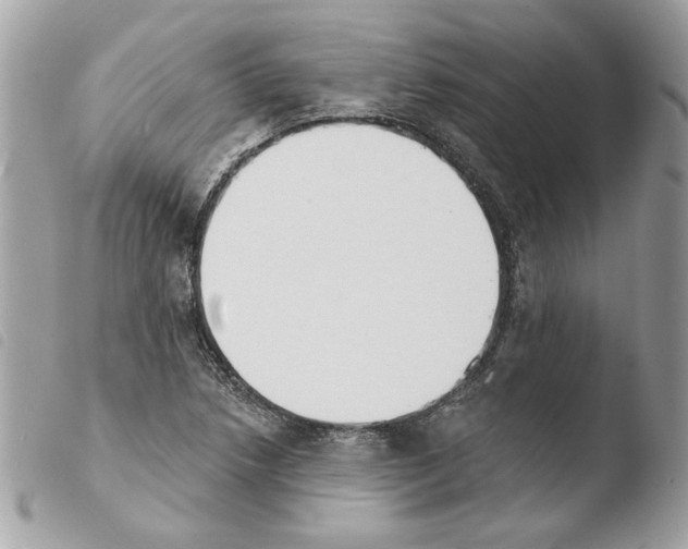 X0000103931218200810171743