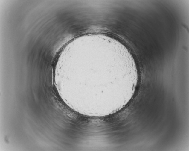 X0000103931219200810171743