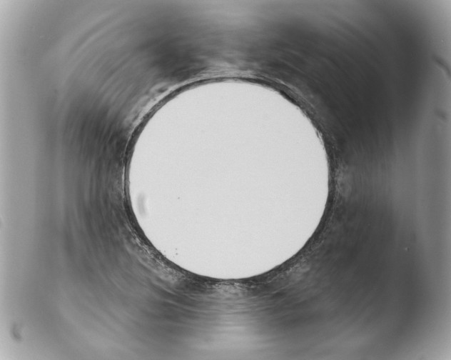 X0000103931220200810171743