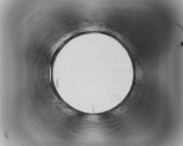 X0000103931221200810171743