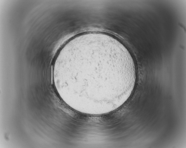 X0000103931223200810171743