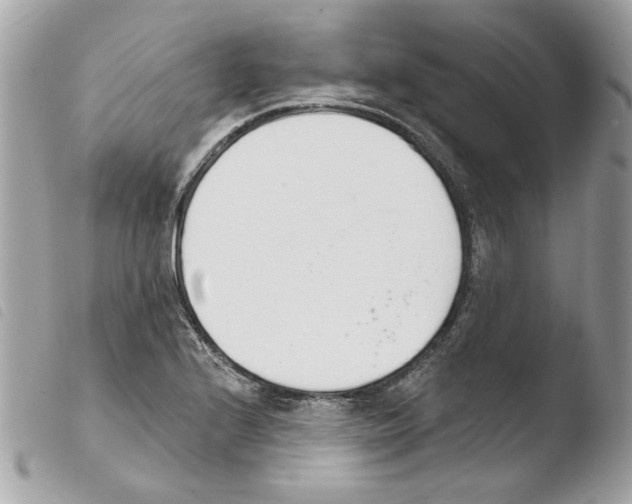 X0000103931224200810171744