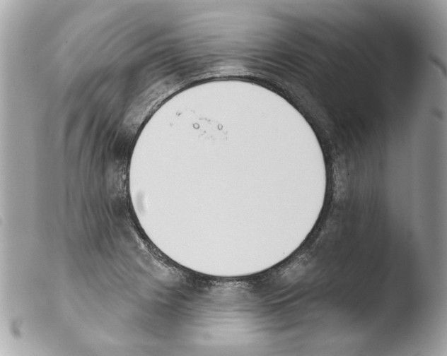 X0000103931225200810171744