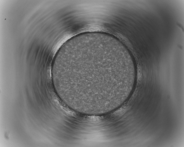 X0000103931226200810171744