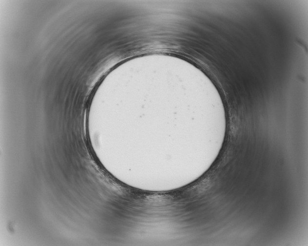 X0000103931227200810171744