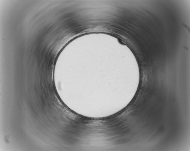 X0000103931228200810171744