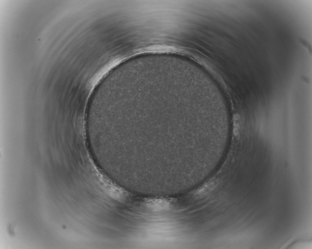 X0000103931229200810171744