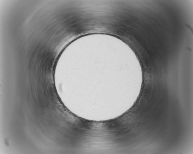 X0000103931230200810171744