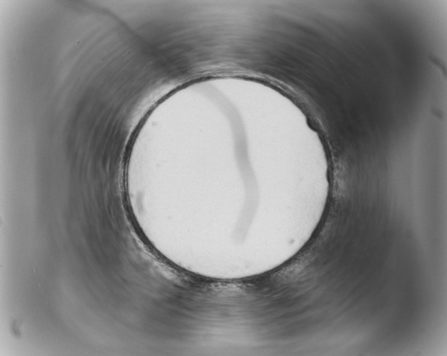 X0000103931231200810171744