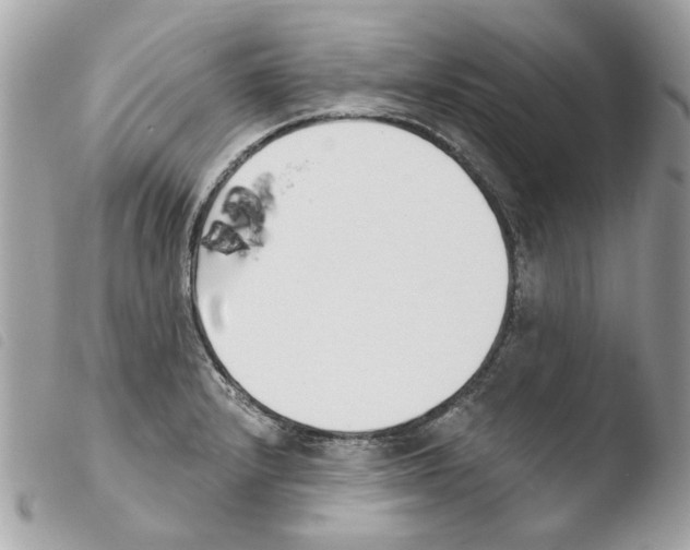 X0000103931232200810171744