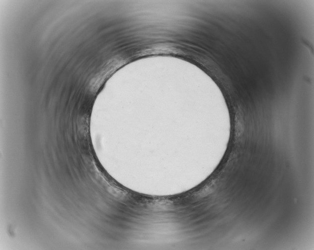 X0000103931233200810171744