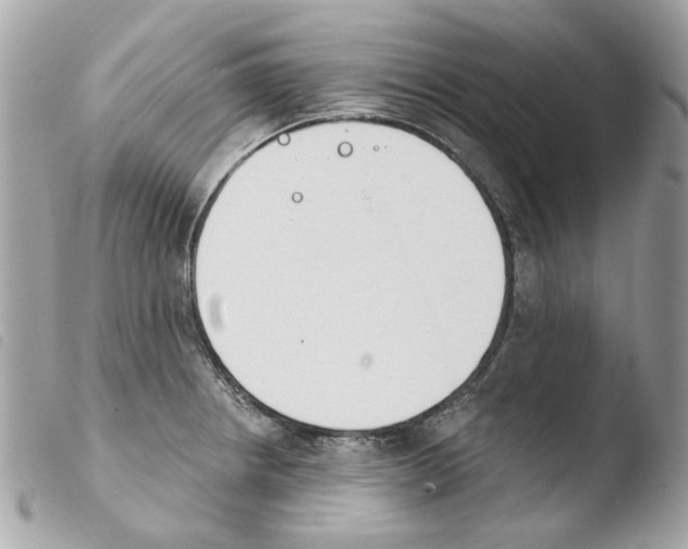 X0000103931234200810171744