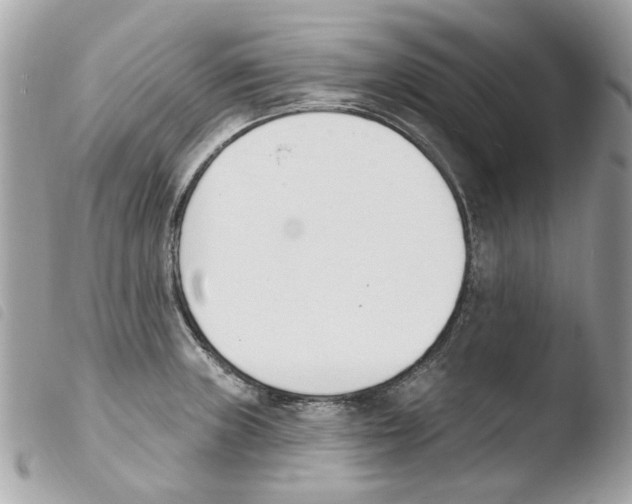 X0000103931235200810171744