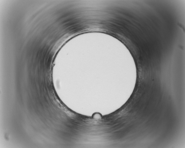 X0000103931236200810171744