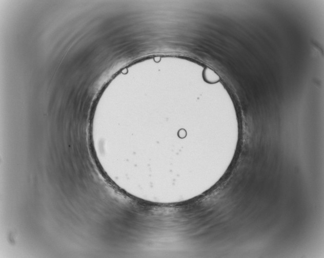 X0000103931237200810171744