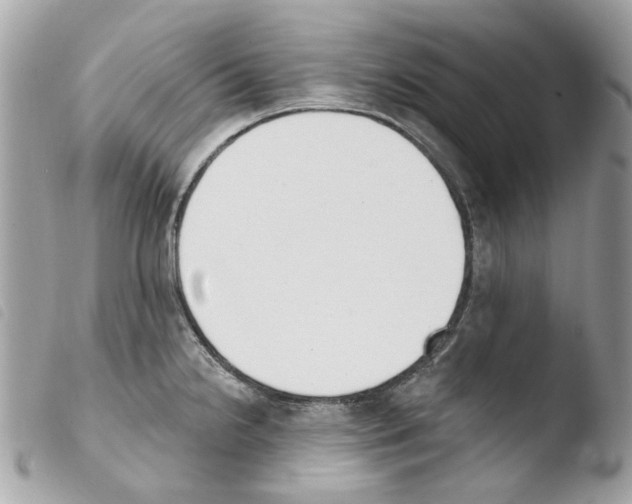 X0000103931238200810171744