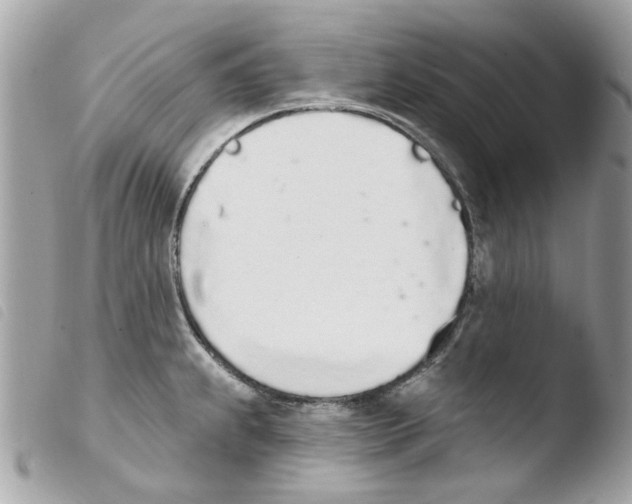 X0000103931239200810171744