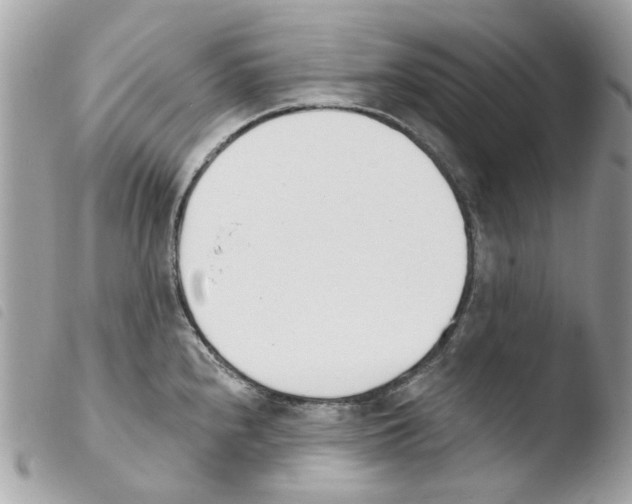 X0000103931240200810171744