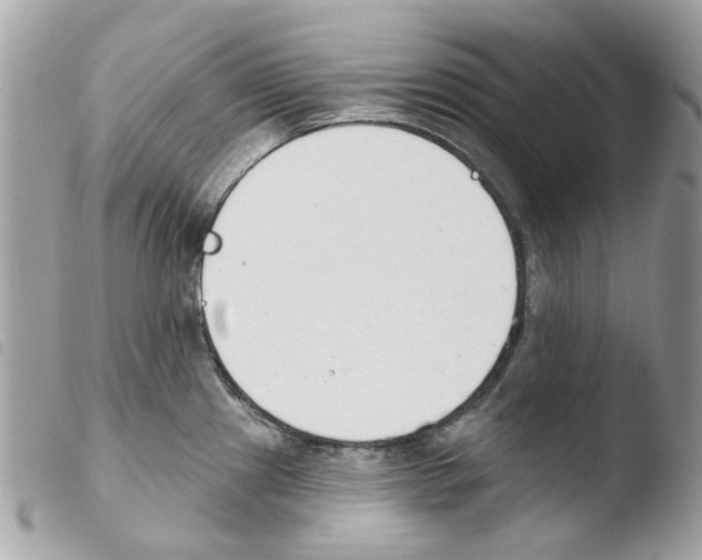 X0000103931241200810171744