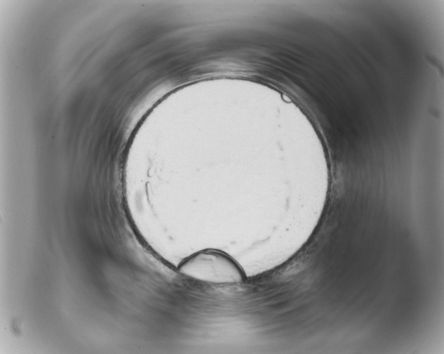 X0000103931243200810171744