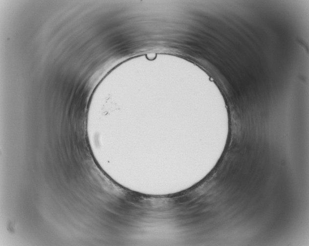 X0000103931244200810171744