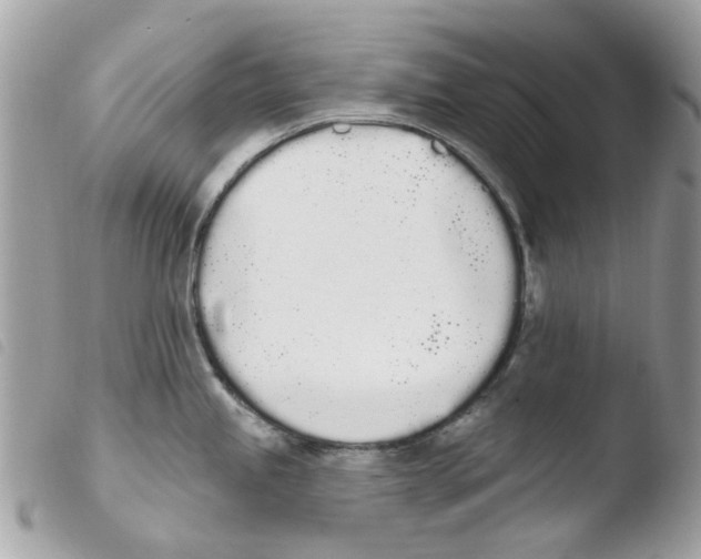 X0000103931245200810171744