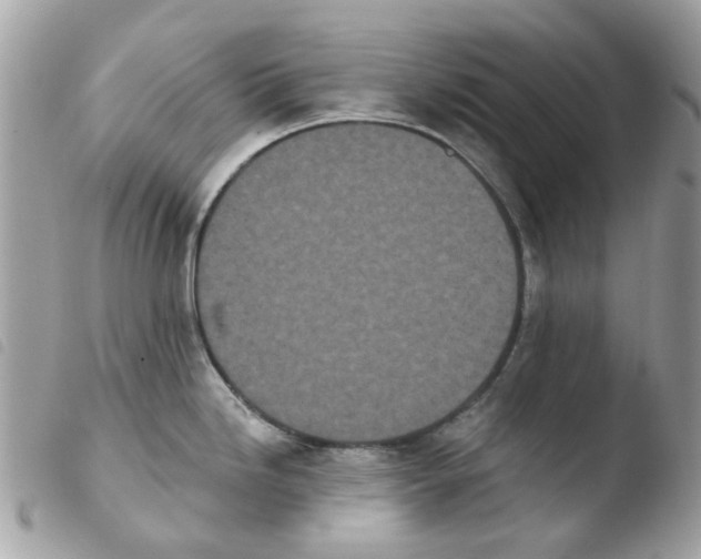 X0000103931246200810171744