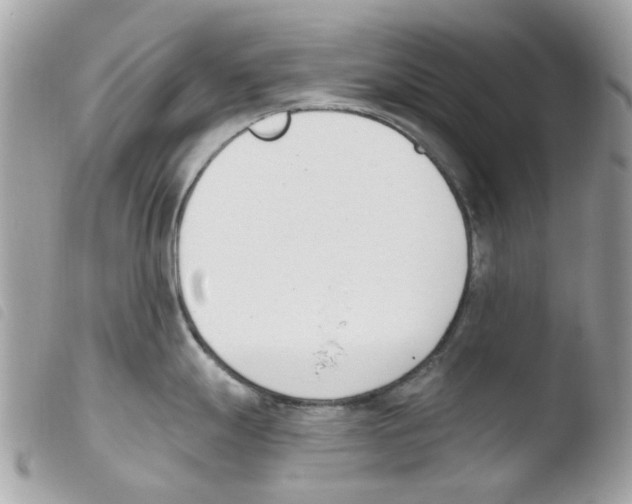 X0000103931247200810171744