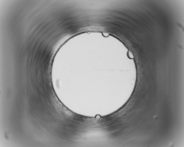 X0000103931248200810171744