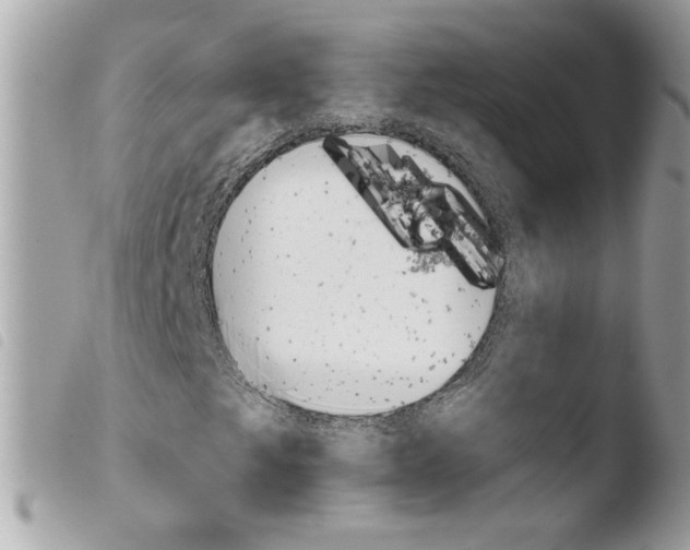 X0000103931249200810171743