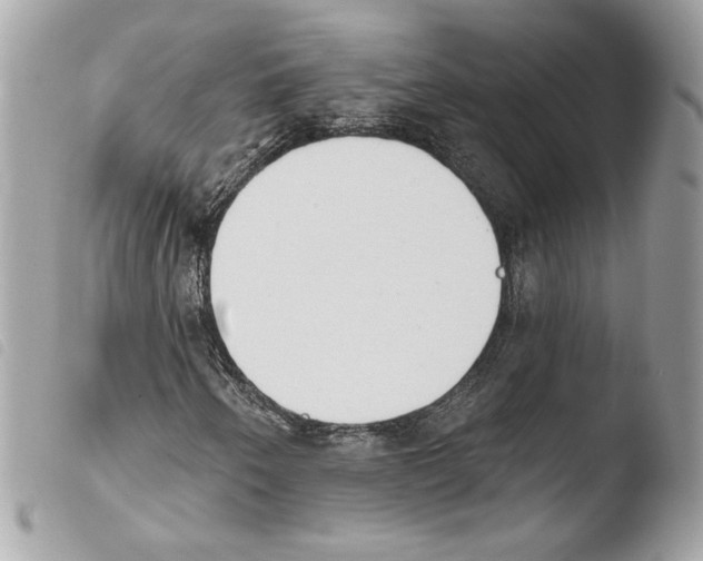 X0000103931250200810171743