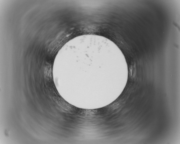 X0000103931251200810171743