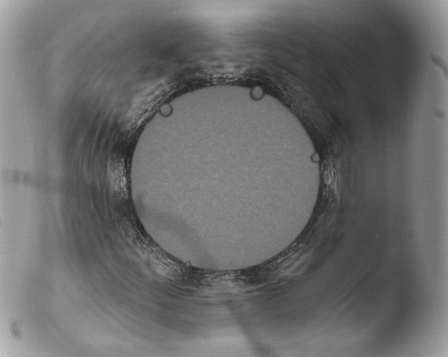 X0000103931252200810171743