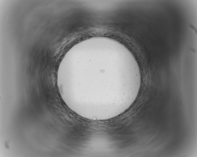 X0000103931253200810171743