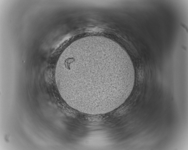 X0000103931254200810171743