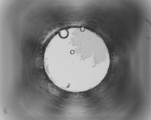 X0000103931256200810171743