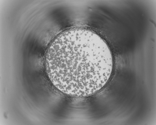 X0000103931257200810171743