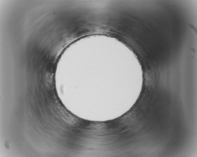 X0000103931260200810171743