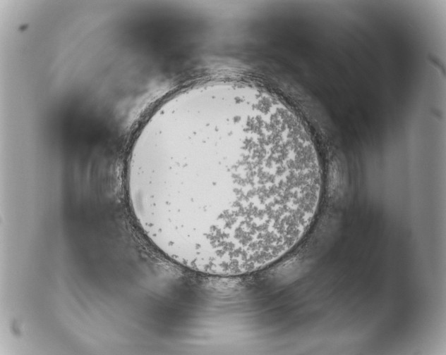 X0000103931261200810171743