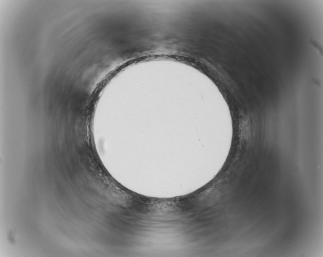 X0000103931262200810171743